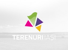 Apartment type icon